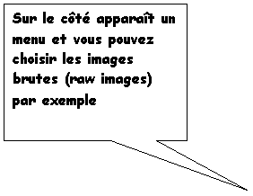 Bulle rectangulaire: Sur le côté apparaît un menu et vous pouvez choisir les images brutes (raw images) par exemple
