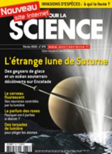 Pour la science n�376 - 