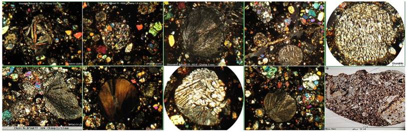 Une image contenant texte, mollusque

Description gnre automatiquement