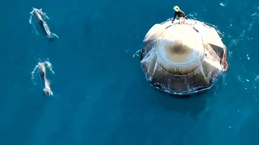 Une image contenant mammifre, tortue, eau, Tortue marine

Le contenu gnr par lIA peut tre incorrect.