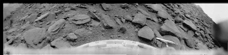 Une image contenant casserole, tranch

Description gnre automatiquement