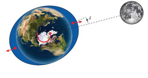 Une image contenant plante, carte, sphre, Terre

Description gnre automatiquement