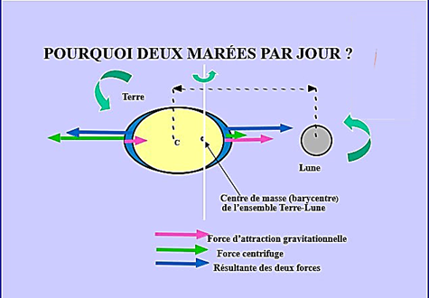 Une image contenant texte, capture dcran, horloge, diagramme

Description gnre automatiquement